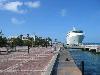 IMG_1115.jpg