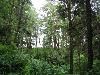 IMG_1733.jpg