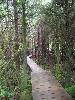 IMG_1741.jpg