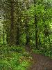 IMG_1766.jpg